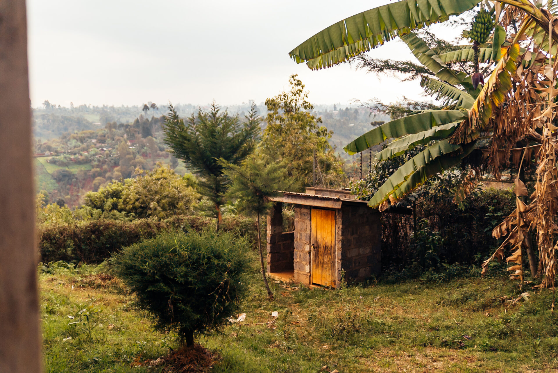Tea farms in Kenya. Images by Mark Hadj Hamou and Théo Jumeau for InFiNe and Britam Insurance