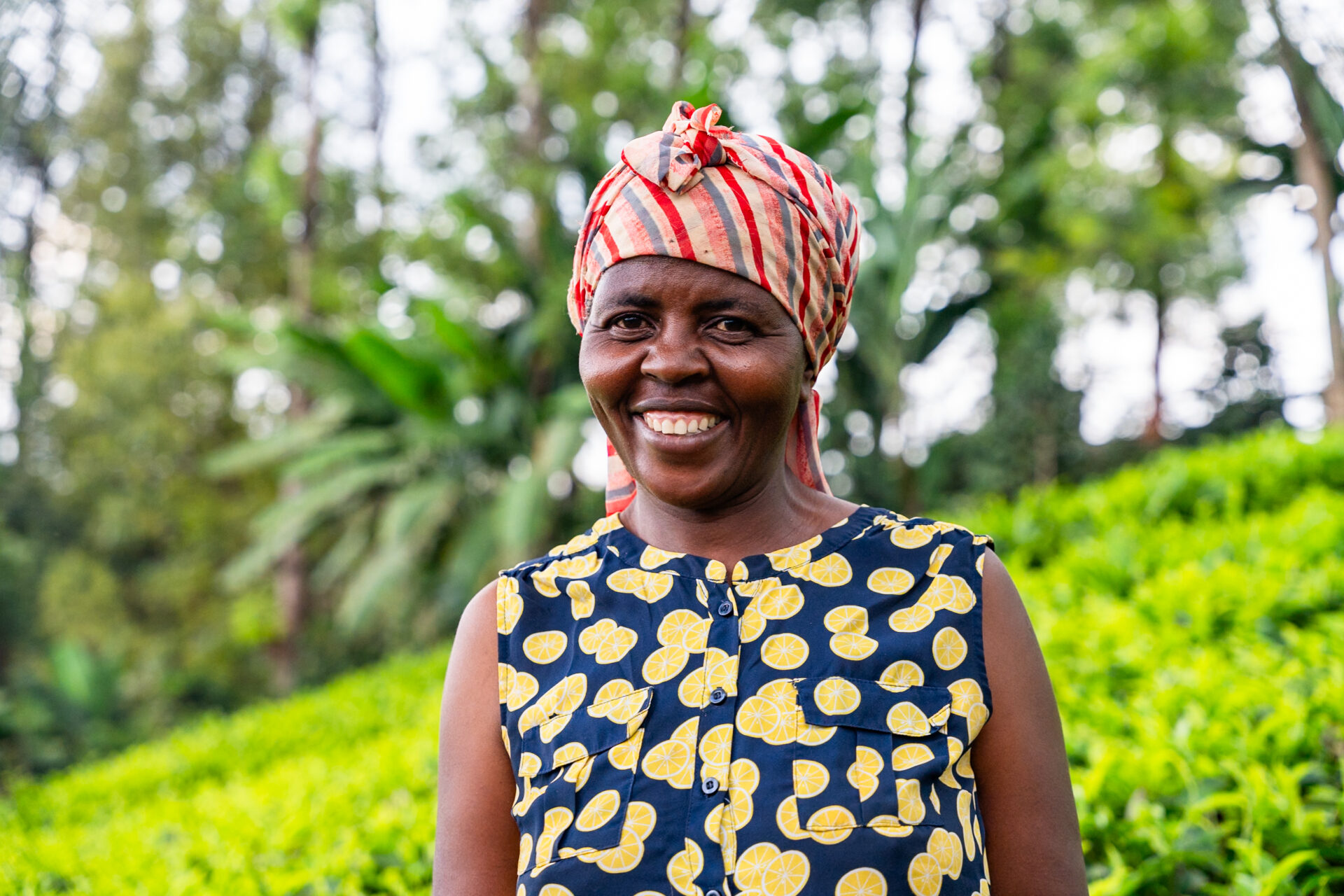 Tea farmer in Kenya. Images by Mark Hadj Hamou and Théo Jumeau for InFiNe and Britam Insurance