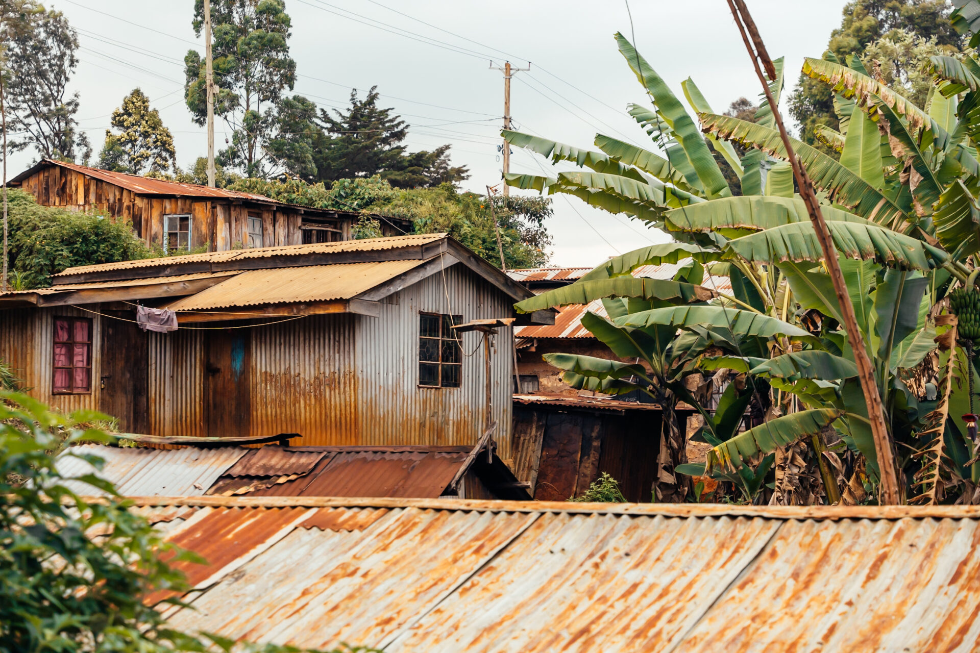 Tea farms in Kenya. Images by Mark Hadj Hamou and Théo Jumeau for InFiNe and Britam Insurance