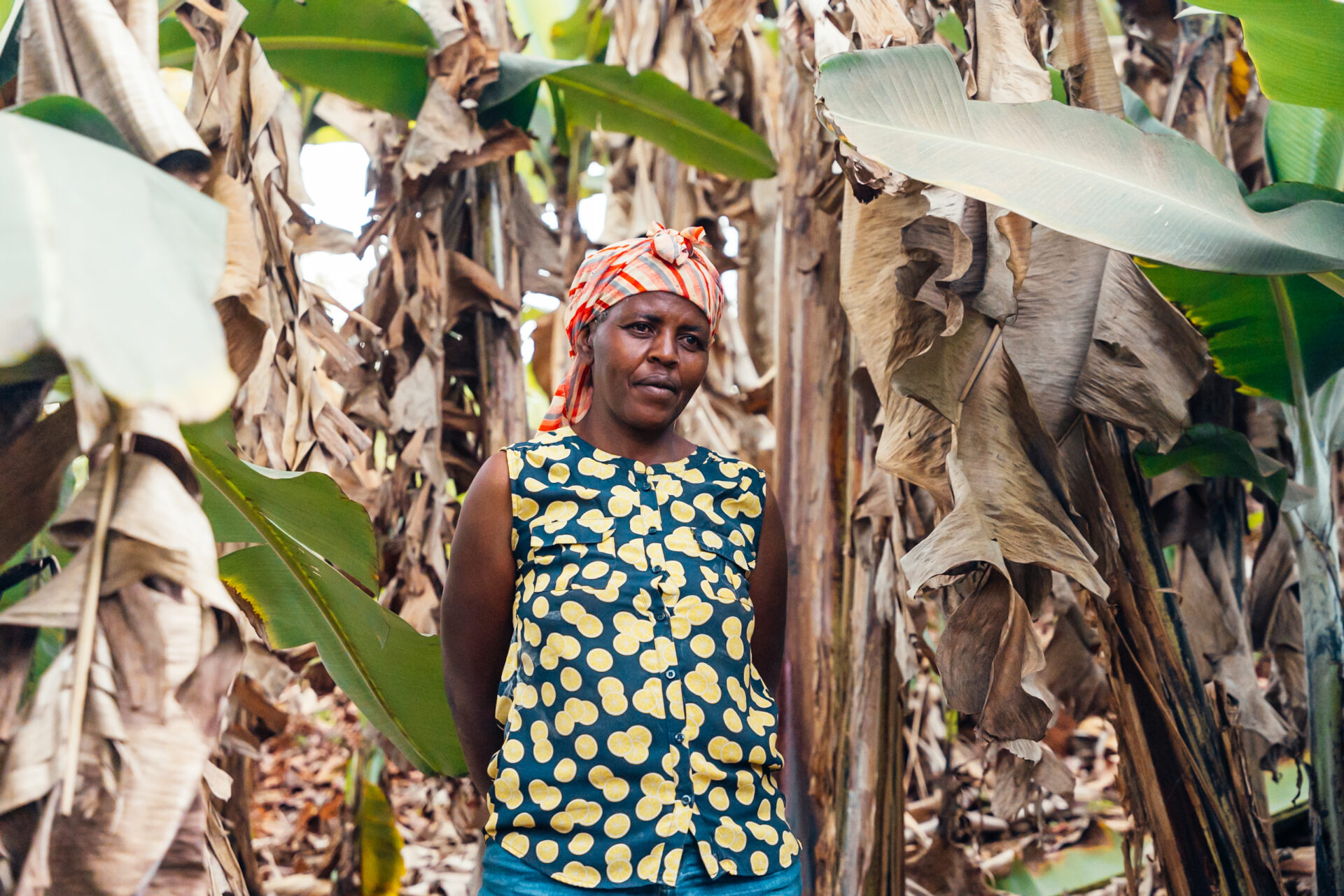 Tea farmer in Kenya. Images by Mark Hadj Hamou and Théo Jumeau for InFiNe and Britam Insurance
